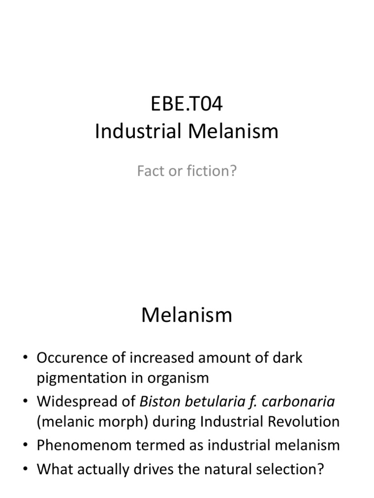 EBE.T04 Industrial Melanism Fact or Fiction? PDF Polymorphism (Biology) Evolutionary Biology