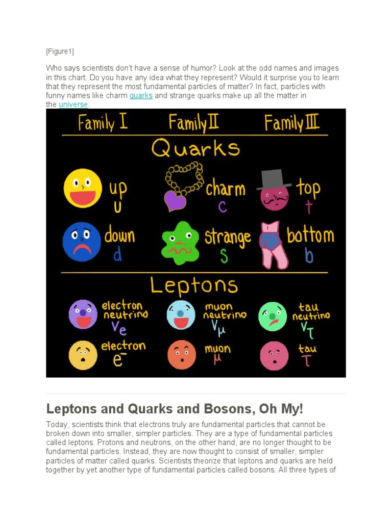 Leptons and Quarks and Bosons | PDF | Elementary Particle | Quark
