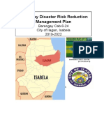 Barangay Disaster Risk Reduction Management Plan: Barangay Cab.6-24 City of Ilagan, Isabela 2019-2022