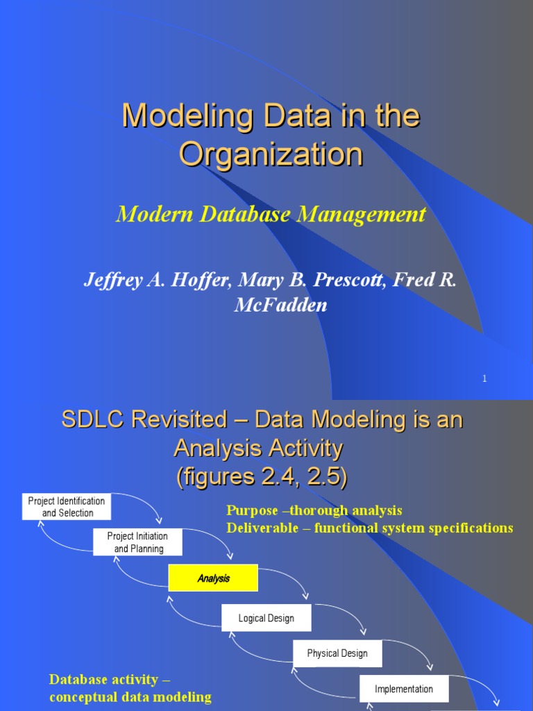 Data Modeling in Organizations | PDF | Information Retrieval | Databases