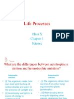 Life Processes: Class X Science