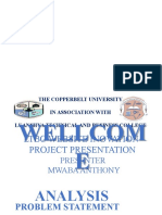 Project Presentation Example