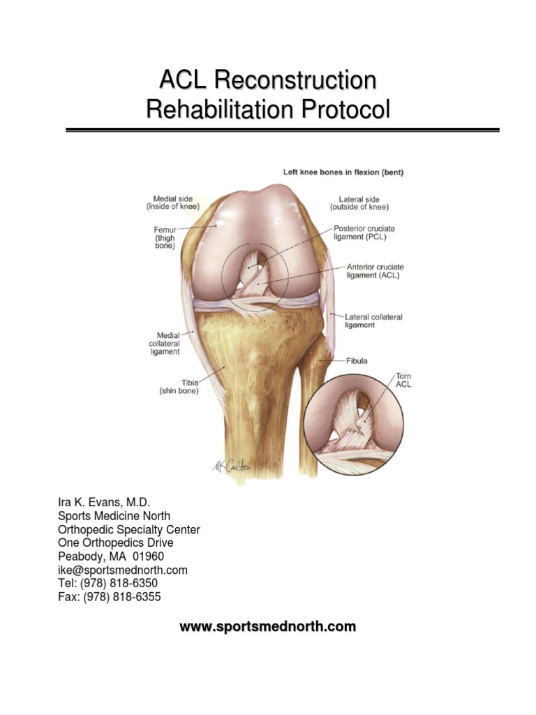 ACL Reconstruction Rehab Guide | PDF | Knee | Anatomical Terms Of Motion