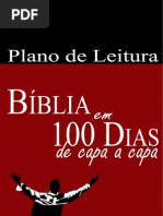 plano-100-dias-completo