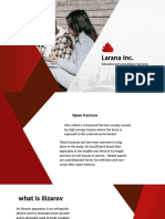 Larana Inc.: Educational Consultancy Services