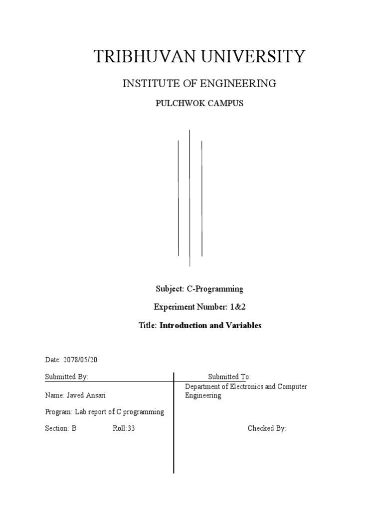 Final Lab Report | Download Free PDF | Control Flow | Compiler