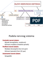 Predavanje 14. Anatomija Nervnog Sistema 1