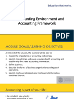 01 The Accounting Environment and Accounting Framework
