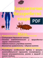 PDF‑документ Биология, презентация 7 класс 