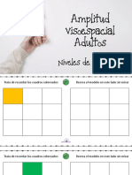 Amplitud Visoespacial PDF