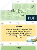 EKOSISTEM SUNGAI