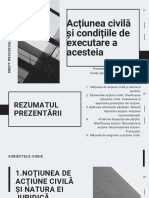 Acțiunea Civilă Și Condițiile de Executare A Acesteia