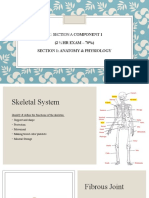 PE Section A Component 1 Anatomy