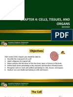 Chapter 4: Cells, Tissues, and Organs: Medterm