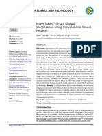 Image-Based Tomato Disease Identification Using Convolutional Neural Network