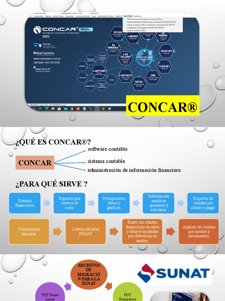 CONCAR® | Descargar gratis PDF | Contabilidad | Informática