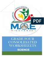 Grade Four Consolidated Worksheeets: Science