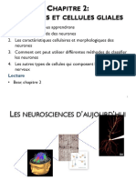 BIO 3750 - Ch 2 neurone et glie