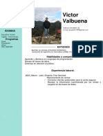 Victor Valbuena Currículum Actualizado