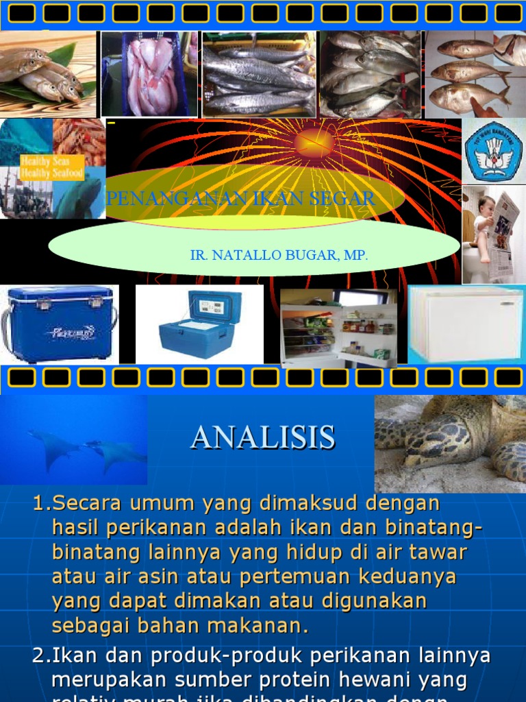 Teknik penyimpanan ikan segar untuk menjaga kualitas