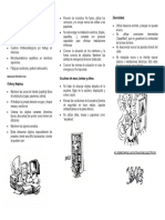 Triptico Oficina