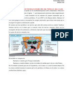 Transcripciones Neuroanato 1P