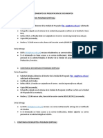 Procedimientos de Presentacion de Documentos