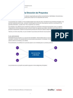 Los Procesos de La Direccion de Proyectos-5d48cead2ab65