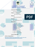 Microbiota Vaginal Subgrupo D Cartillas y Mapas Conceptuales Link