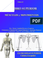 4.2 Miembro Superior Musculos y Movimientos 