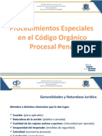 Procedimientos Especiales