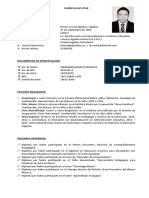 Curriculum Vitae Hector Leonel Aguil N y Aguil N