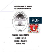 Examen Único Caepu Ciclo 2021 - I
