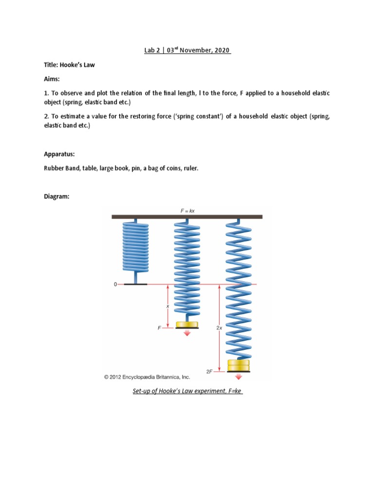 Hooke's Law Experiment Analysis | PDF | Elasticity (Physics) | Force