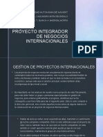 Proyecto Integrador de Negocios Internacionales Introduccion