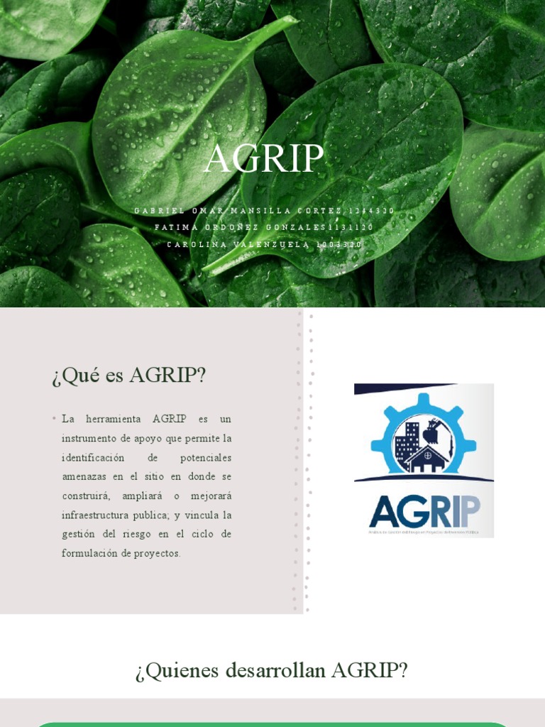 Herramienta AGRIP para gestión de riesgos | PDF | Negocios