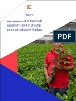 Manual para Productores. Reglamentación en Materia de Seguridad y Salud en El Trabajo para La Agricultura en Honduras