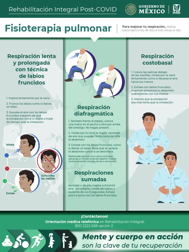 Fisioterapia Pulmonar PDF Respiración Medicina CLINICA