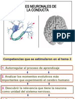 Tema 2 Bases Neuronales de La Conducta