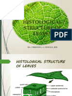 Histological Structure of Leaves: Ma. Christina. A. Gensaya, RPH