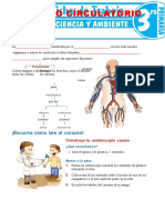 El Aparato Circulatorio para Tercer Grado de Primaria