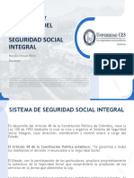 2 Definicion y Principios Del Sistema de Seguridad Social Integral