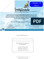 Certificado Cuidador de Idosos Elizandra