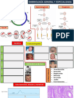 EMBRIOLOGIA GENERAL Y ESPECIAL