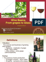 Wine Basics: From Grapes to Glass