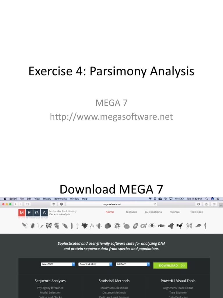 MEGA 7 Maximum Parsimony Analysis Guide | PDF