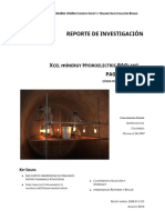 Reporte Final de Xcel Minergy Hidroelectric