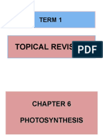 TERM 1 Chapter 6 Topical Revision