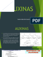 Biosintesis de Auxinas