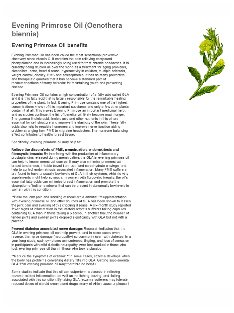 Evening Primrose Oil Benefits & Information PDF Premenstrual